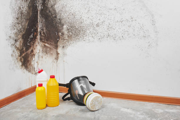 Best Crawl Space Mold Removal  in Wayne Heights, PA