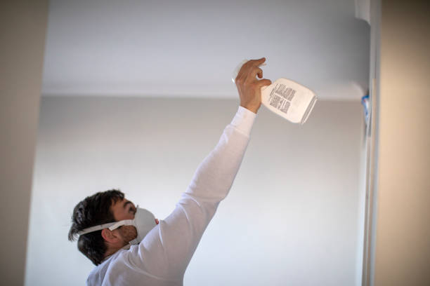 Best Mold Damage Repair  in Wayne Heights, PA